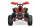 Speedy GS S7-A Sport 125cc midi Kinder Quad