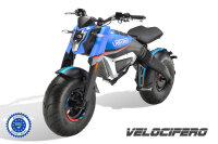 Beach Mad Bike E-Motorrad 3KW 60V EEC