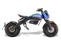 Beach Mad Bike E-Motorrad 3KW 60V EEC