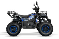 Reptile RS10-CVT 200cc Blau